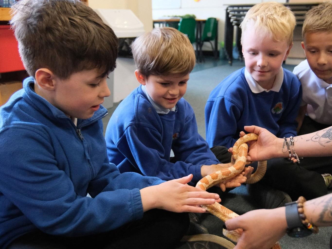 Y2 Zoolab Visit